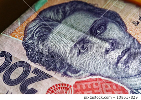 This close-up image captures the intricacies of a 200 Ukrainian hryvnia bill, prominently showcasing the portrait of Lesya Ukrainka, allowing a detailed view of the Ukrainian paper currency. This close-up image captures the intricacies of a 200 Ukrainian hryvnia bill, prominently showcasing the portrait of Lesya Ukrainka, allowing a detailed view of the Ukrainian paper currency. 108617829