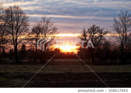 Nature's beauty awakens with a serene sunrise over a field, casting silhouettes of trees in the foreground against a sky adorned with the warm hues of orange and blue, evening landscape. Nature's beauty awakens with a serene sunrise over a field, casting silhouettes of trees in the foreground against a sky adorned with the warm hues of orange and blue, evening landscape. 108617843