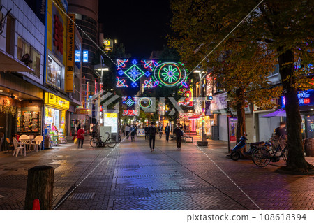 《Kanagawa Prefecture》Yokohama Isezaki Mall・Night entertainment district 108618394