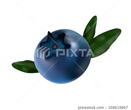 Vector Illustration of Fresh Blueberries with Green Leaves. 108618667