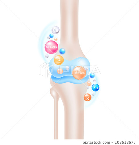 Knee Joint Health Nutrients and Supplements Vector Illustration. Knee Joint Health Nutrients and Supplements Vector Illustration. 108618675