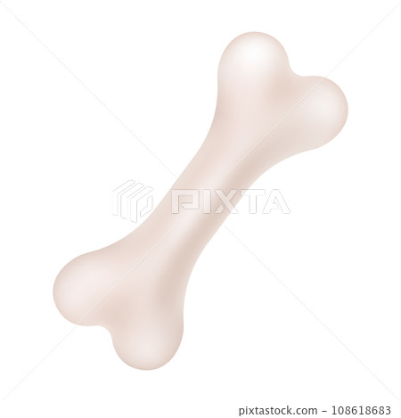 Anatomical Structure of a Human Bone in Vector Style. 108618683