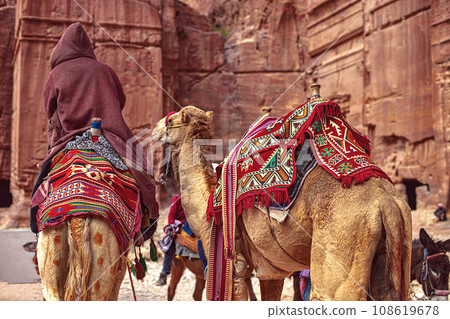 Tourists riding camels ride along the Siq Canyon and explore the attractions of the city of Petra, Jordan 108619678