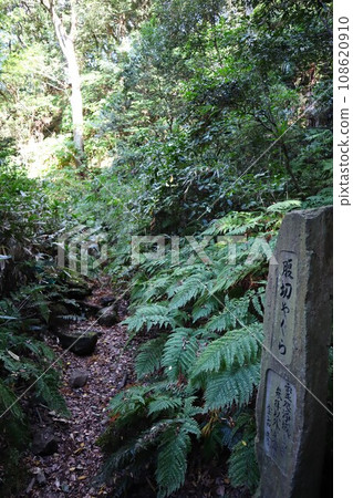 進入“北條隆時切櫓” 進入“北條隆時切櫓” 108620910