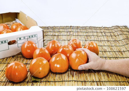 甲州百目(富士柿) 甲州百目(富士柿) 108621597