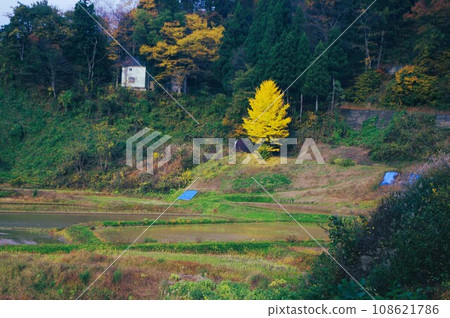 Let's go to Satoyama this fall 108621786