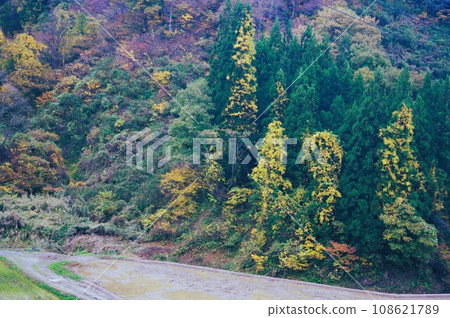 今年秋天我們去里山吧 108621789