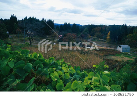 Let's go to Satoyama this fall Let's go to Satoyama this fall 108621790