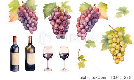 葡萄和葡萄酒的水彩風格透明插圖 108621856