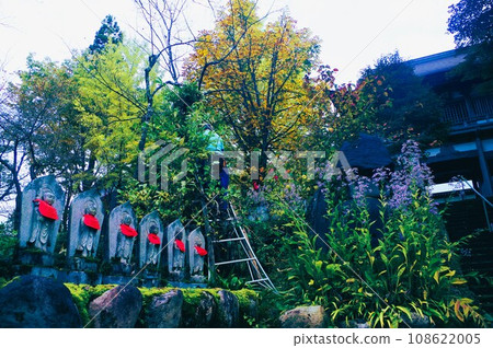 Let's go to Satoyama this fall Let's go to Satoyama this fall 108622005
