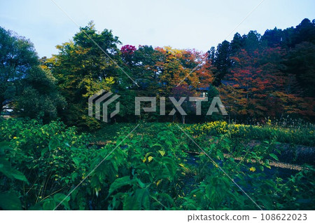 Let's go to Satoyama this fall 108622023