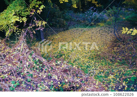 Let's go to Satoyama this fall Let's go to Satoyama this fall 108622026