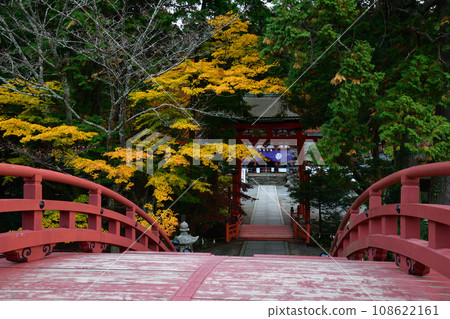 Autumn leaves at Nyutsuhime Shrine Autumn leaves at Nyutsuhime Shrine 108622161