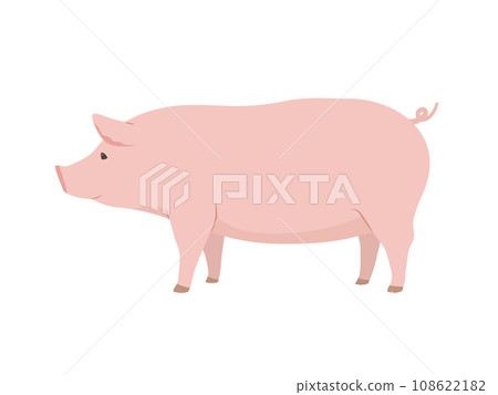 Pig illustrations Pig illustrations 108622182