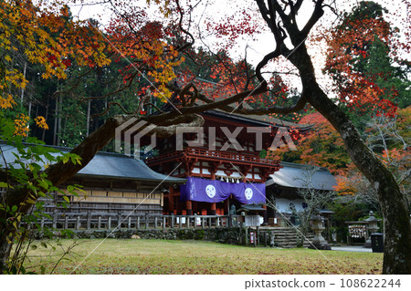 入都姬神社的秋葉 108622244