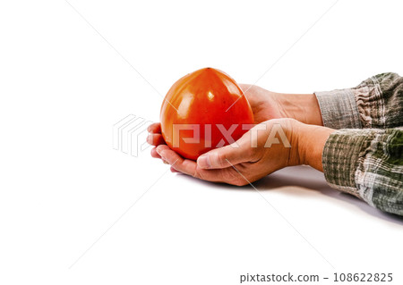 Koshu Hyakume (Fuji persimmon) 108622825