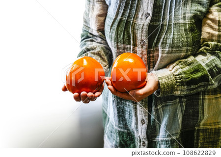 Koshu Hyakume (Fuji persimmon) 108622829
