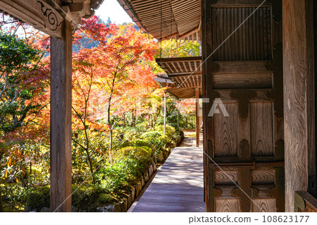 Kyoto Mt. Makio Saimyoji Temple 108623177