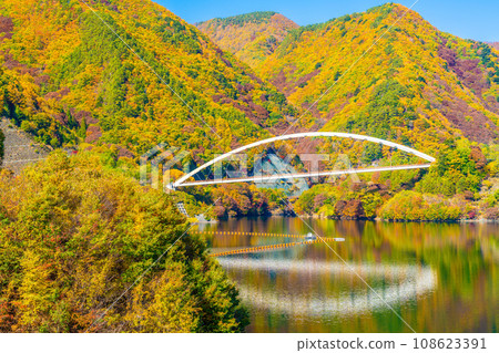 Autumn at Lake Mizukaki 108623391