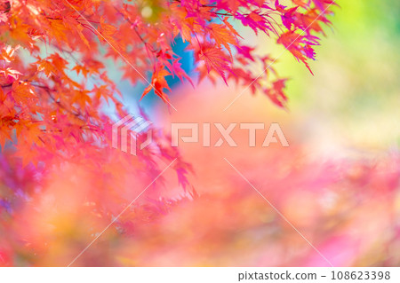 Autumn at Lake Mizukaki Autumn at Lake Mizukaki 108623398