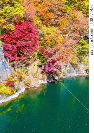 水柿湖的秋天 108623425