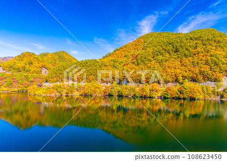 Autumn at Lake Mizukaki 108623450