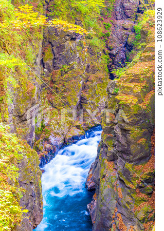 秋天在Azumakyo 108623929