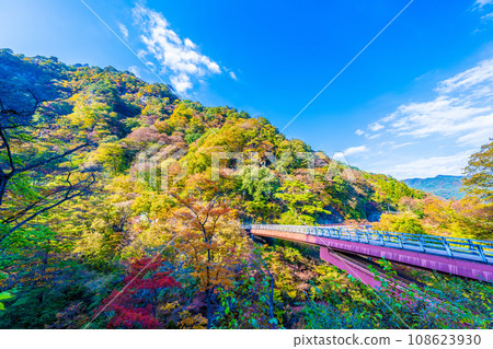 Autumn in Agatsuma Gorge Autumn in Agatsuma Gorge 108623930