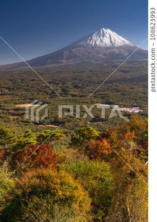 [山梨縣]富士山和紅葉台的秋景 108623993