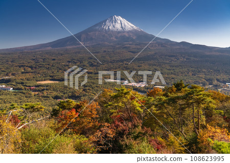 [山梨縣]富士山和紅葉台的秋景 108623995