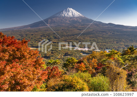 [山梨縣]富士山和紅葉台的秋景 108623997