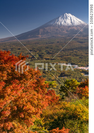 [山梨縣]富士山和紅葉台的秋景 108623998
