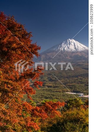 [山梨縣]富士山和紅葉台的秋景 108623999