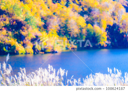 Autumn at Okutami Lake 108624187