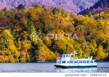 在Okutami湖的秋天 108624219