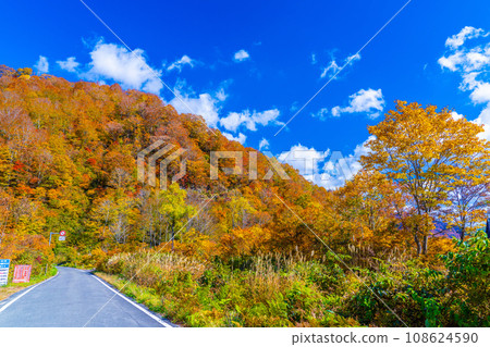 Autumn in Ginzandaira Autumn in Ginzandaira 108624590