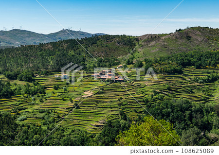Viewpoit of Sistelo's terraces 108625089