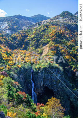 秋棗 秋棗 108625281