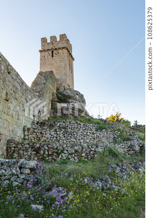 View of Numao Castle 108625379
