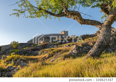 View of Numao Castle 108625387