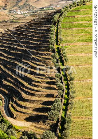 Torto river valley Torto river valley 108625540