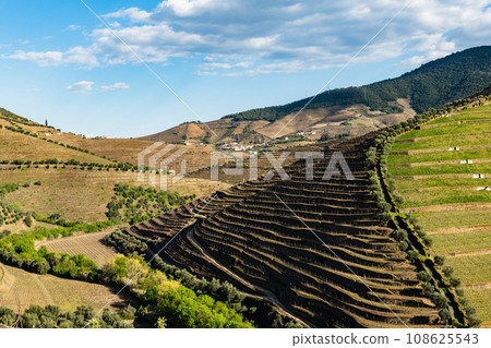 Torto river valley Torto river valley 108625543