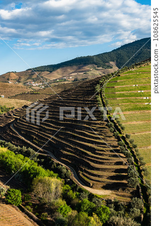 Torto river valley Torto river valley 108625545