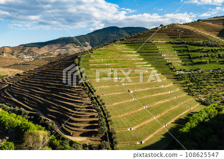 Torto river valley Torto river valley 108625547