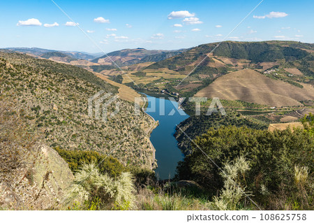 Sao Joao da Pesqueira surrounding landscape 108625758