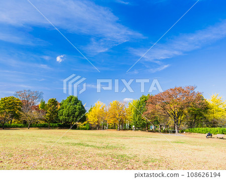 秋色公園郊區住宅區 秋色公園郊區住宅區 108626194