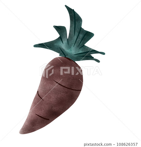 Carrot Carrot 108626357