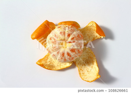 去皮的橘子 108626661