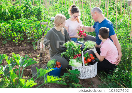 Happy family discussing crop of vegetables in garden 108627402