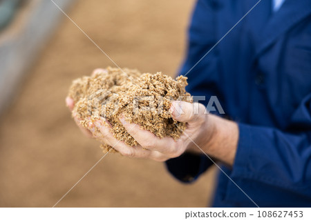 Hands of farmer holding brewer's spent grain 108627453